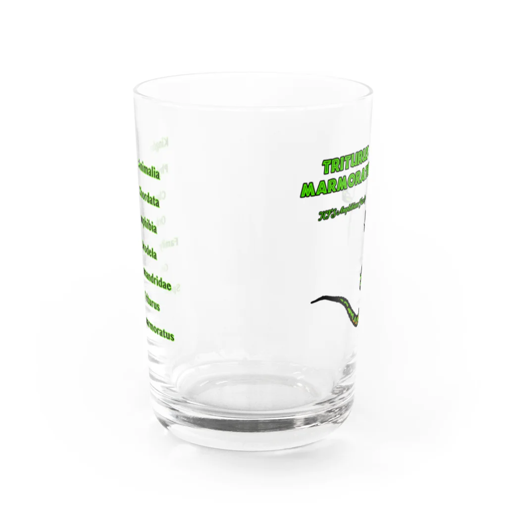 🕷️𝐉𝐚𝐩𝐚𝐧 𝐂𝐫𝐞𝐞𝐩𝐲 𝐢𝐧𝐬𝐞𝐜𝐭𝐬 𝐅𝐞𝐝𝐞𝐫𝐚𝐭𝐢𝗼𝐧🦂のマダライモリ Water Glass :front