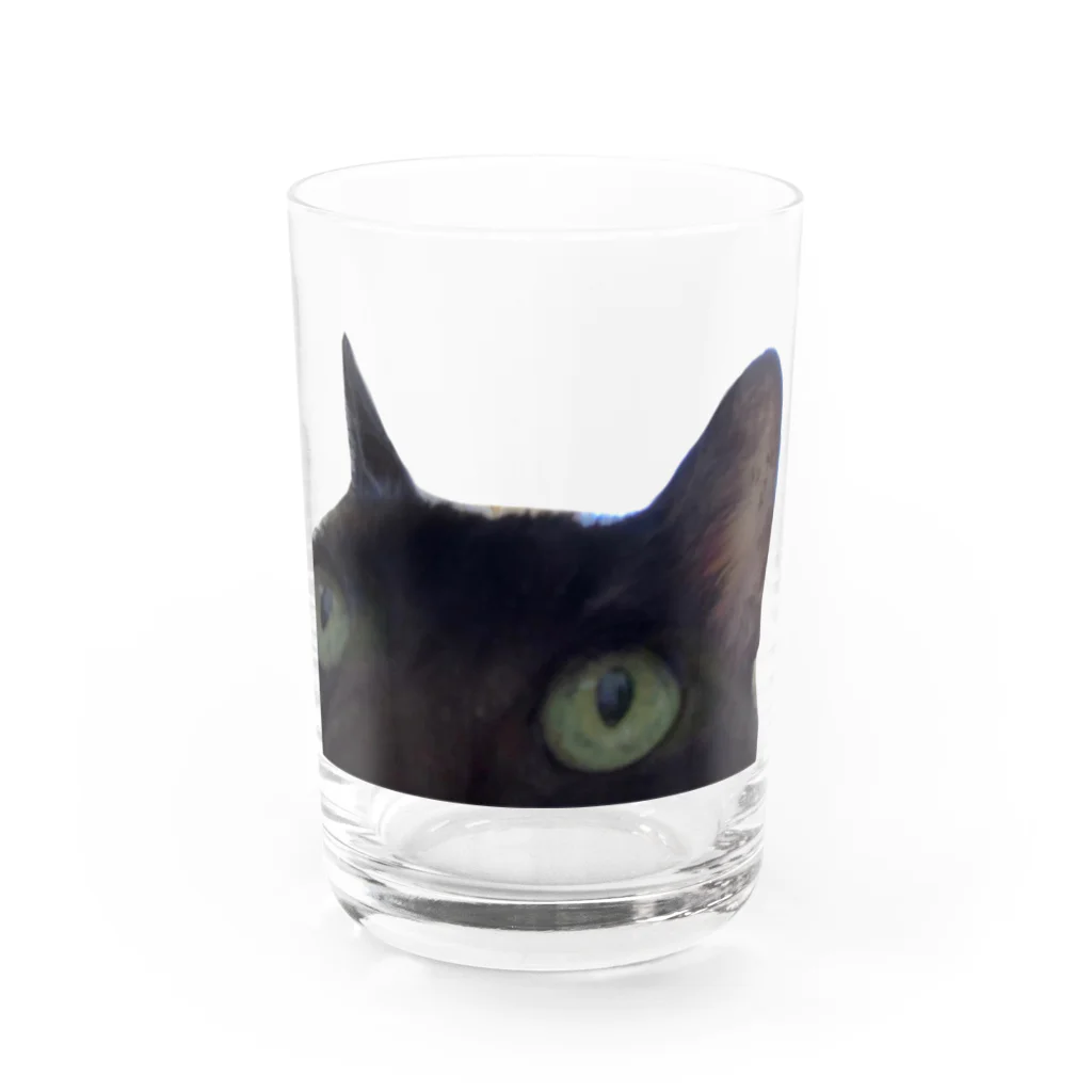 nya nya*のドアップねこ Water Glass :front