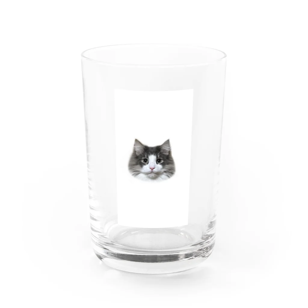 Timmy chan のTimmy the cat Water Glass :front