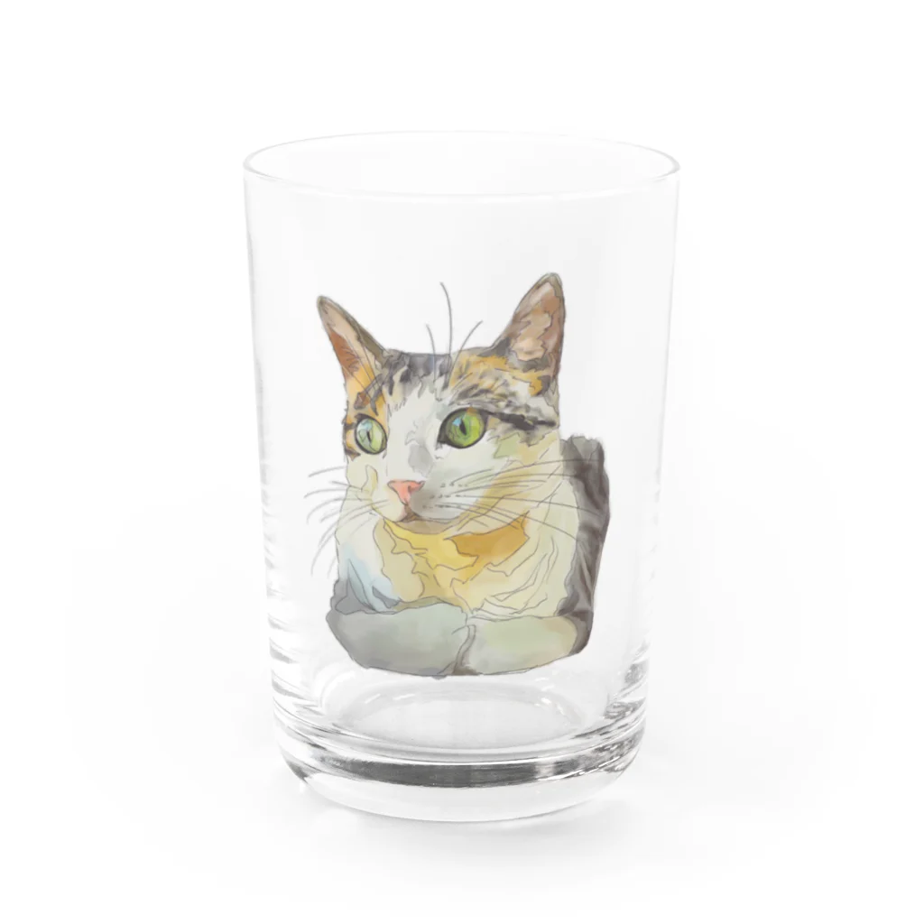 海中のMiyakocat Water Glass :front