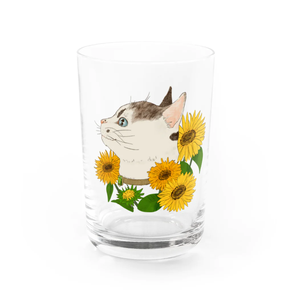 MessyChanの8月の誕生花と猫 Water Glass :front