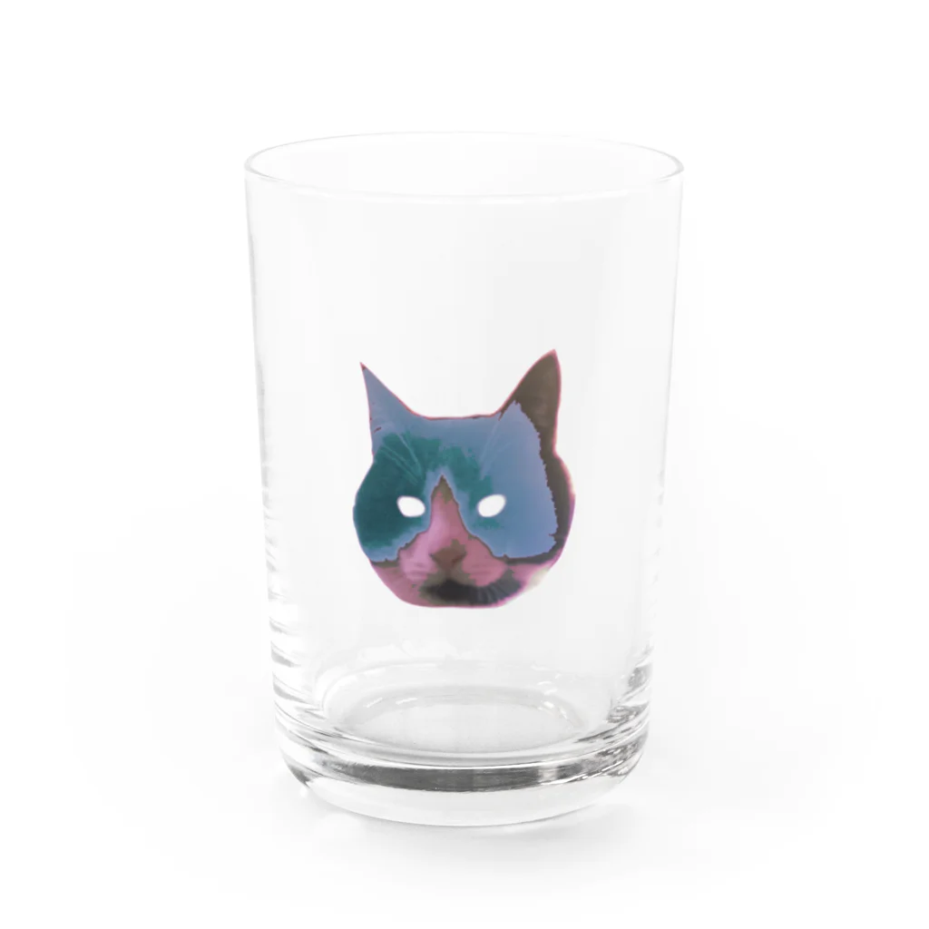 サーモンのネコにゃご Water Glass :front