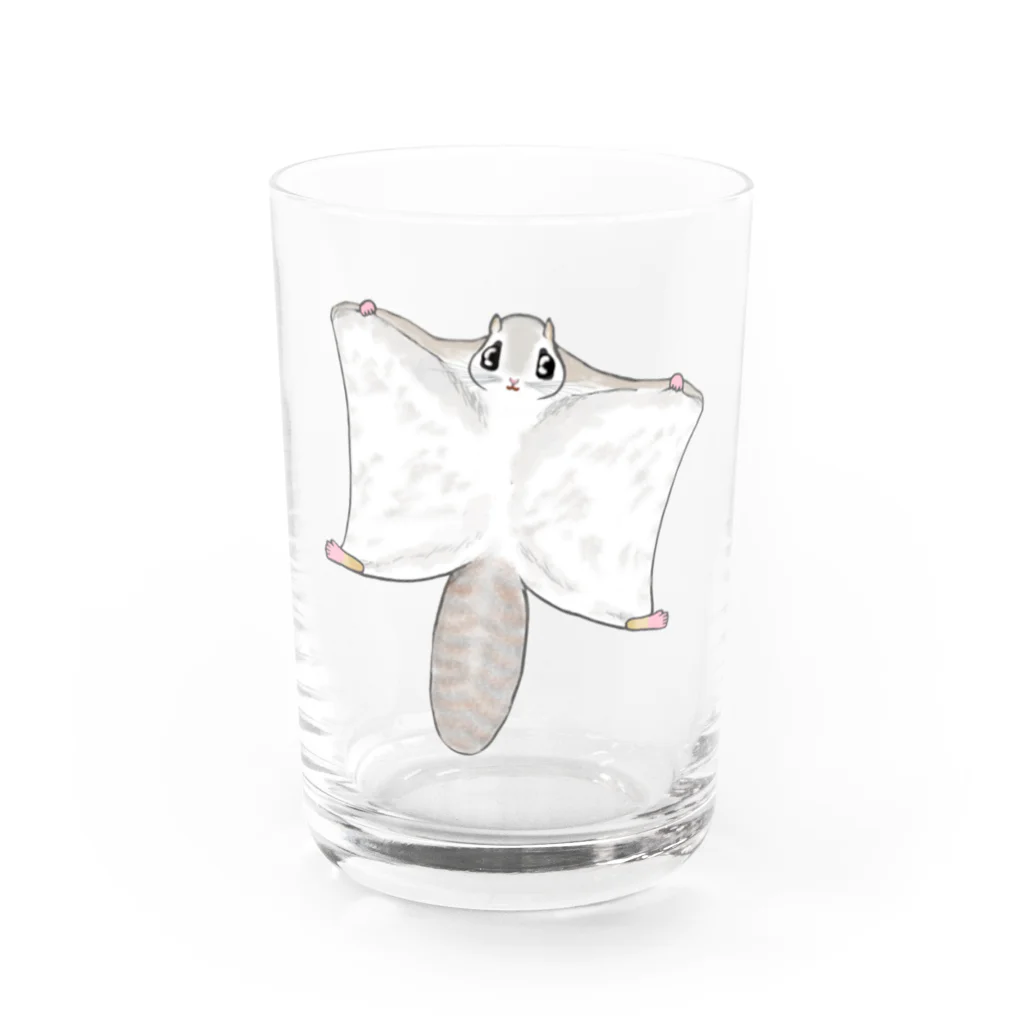 LalaHangeulのエゾモモンガさんドーン！ Water Glass :front