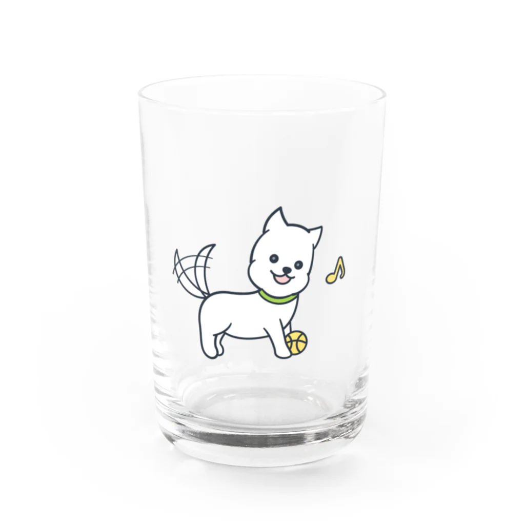 ウェスティのマオのボールで遊ぶマオくん Water Glass :front