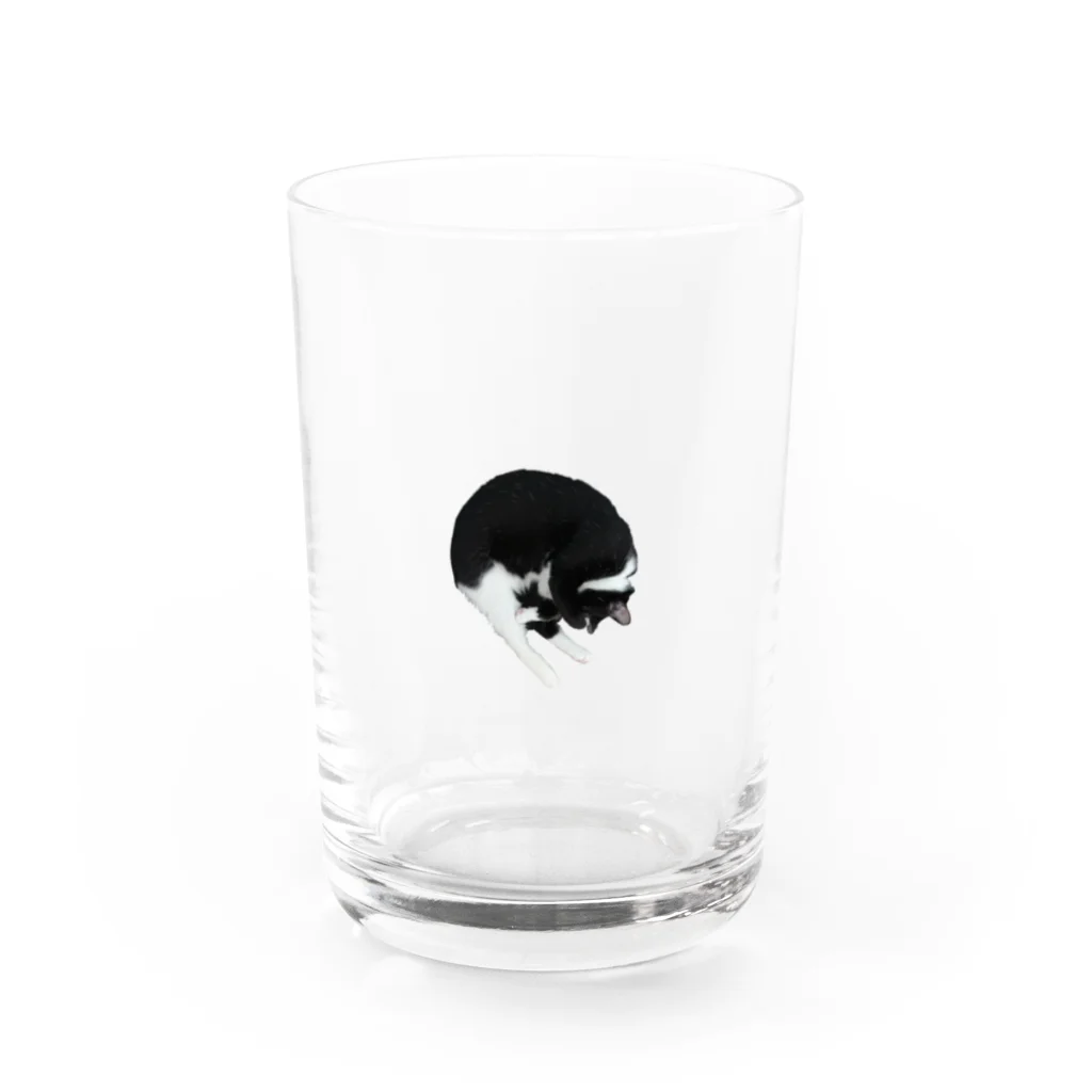 猫山八郎の猫山八郎のアンモニャイト(？) Water Glass :front