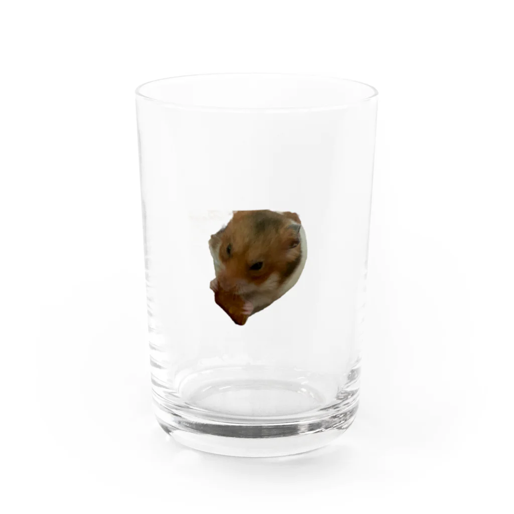 まちやゆず子ショップのハムスター🐹もも Water Glass :front