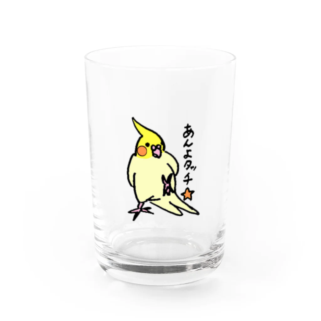 すなねことぽいんちょのオカメインコ　ポインチョ　あんよタッチ　 Water Glass :front