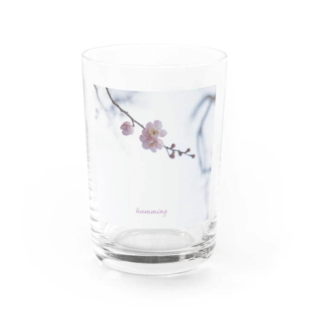 prism✳︎の"humming" Water Glass :front