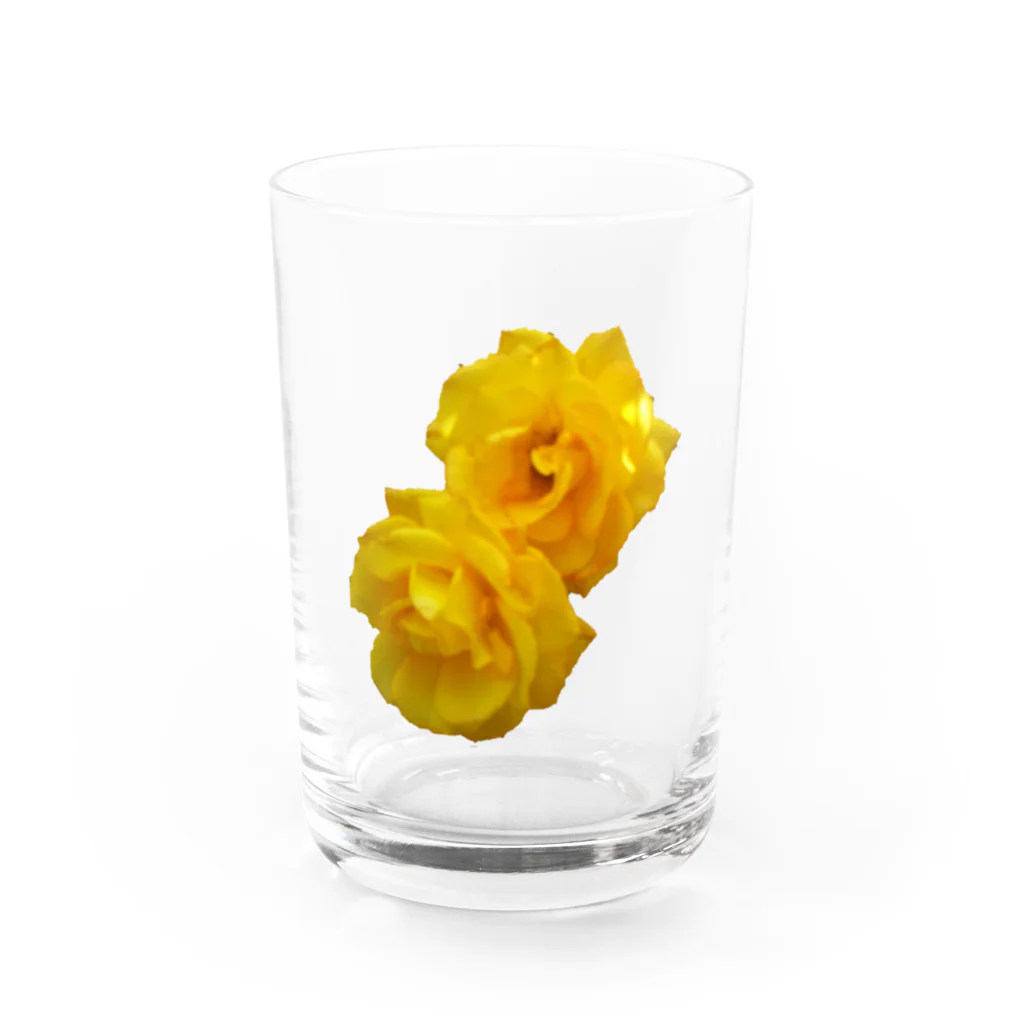 Harunoyozoraの黄色い薔薇の花 Water Glass :front