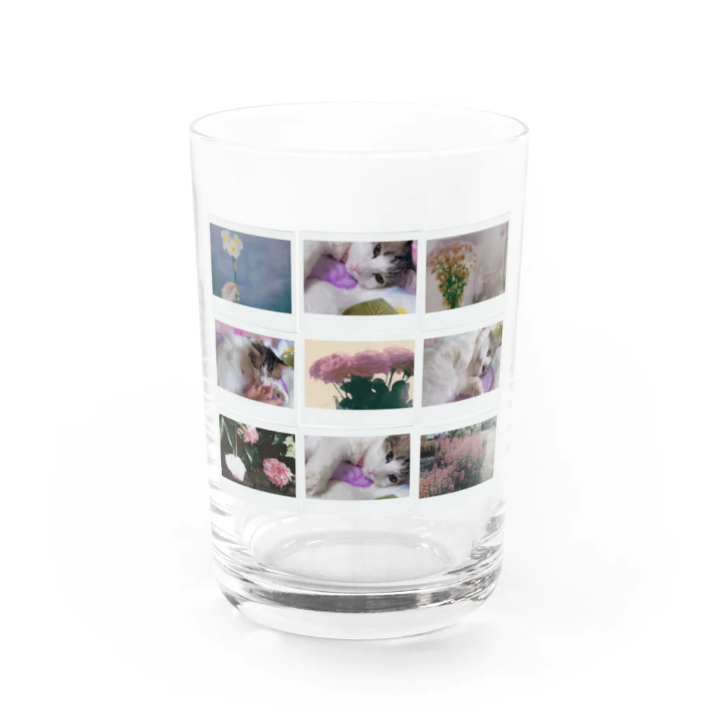 𝙈𝙊𝙈𝙊'𝙨 𝙎𝙝𝙤𝙥のMOMOと春のコラージュ Water Glass :front