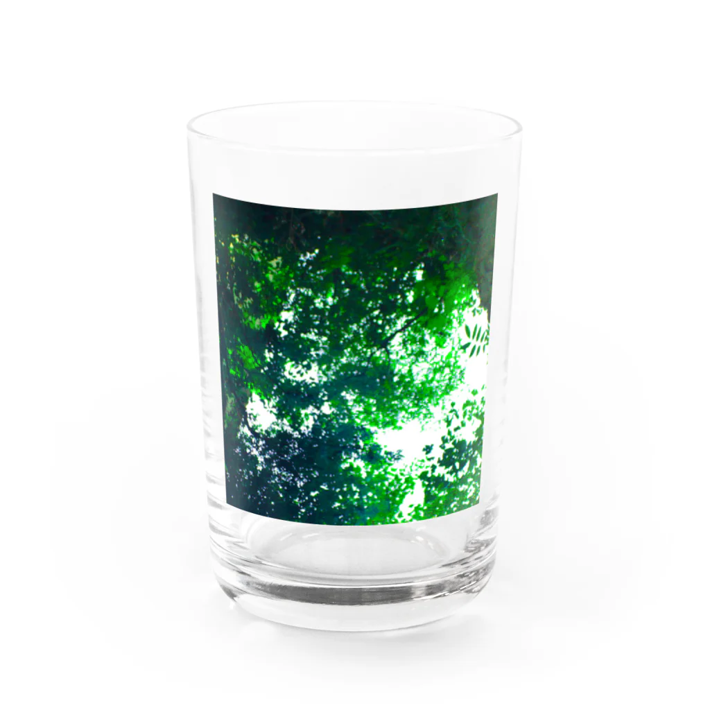 fée de la roseの水の中の世界 Water Glass :front