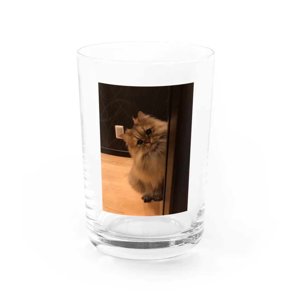 パピコちゃんのお部屋のパピコちゃん Water Glass :front