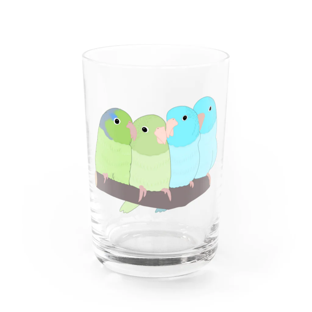 masumi maedaの寄り添う　マメルリハ　 Water Glass :front