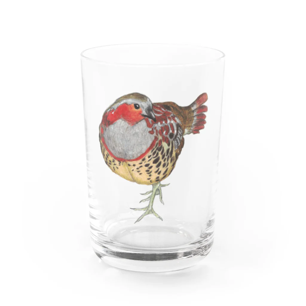 森図鑑の[森図鑑] コジュケイ Water Glass :front