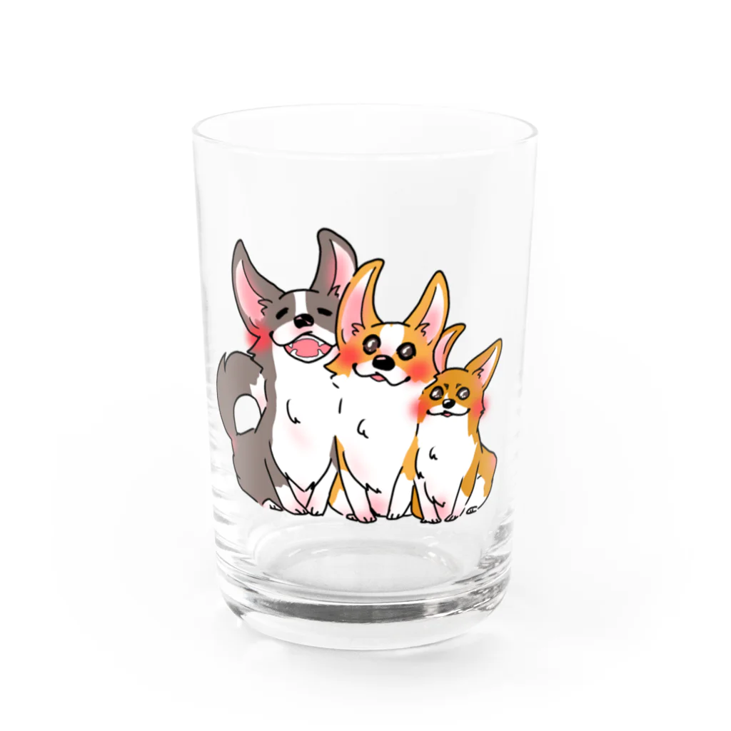 蒼い家の3こぎ Water Glass :front