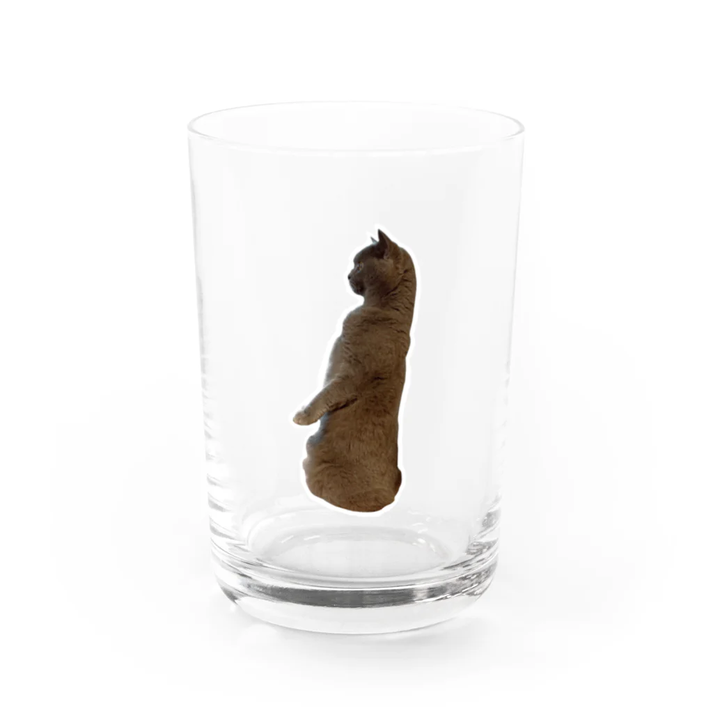 AGUのアグ(全身ミーアキャットVer.) Water Glass :front