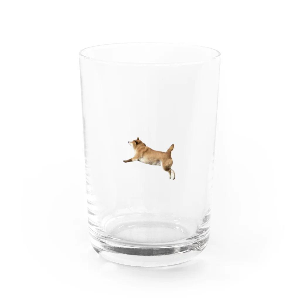 えびちゃんのe-bi Water Glass :front