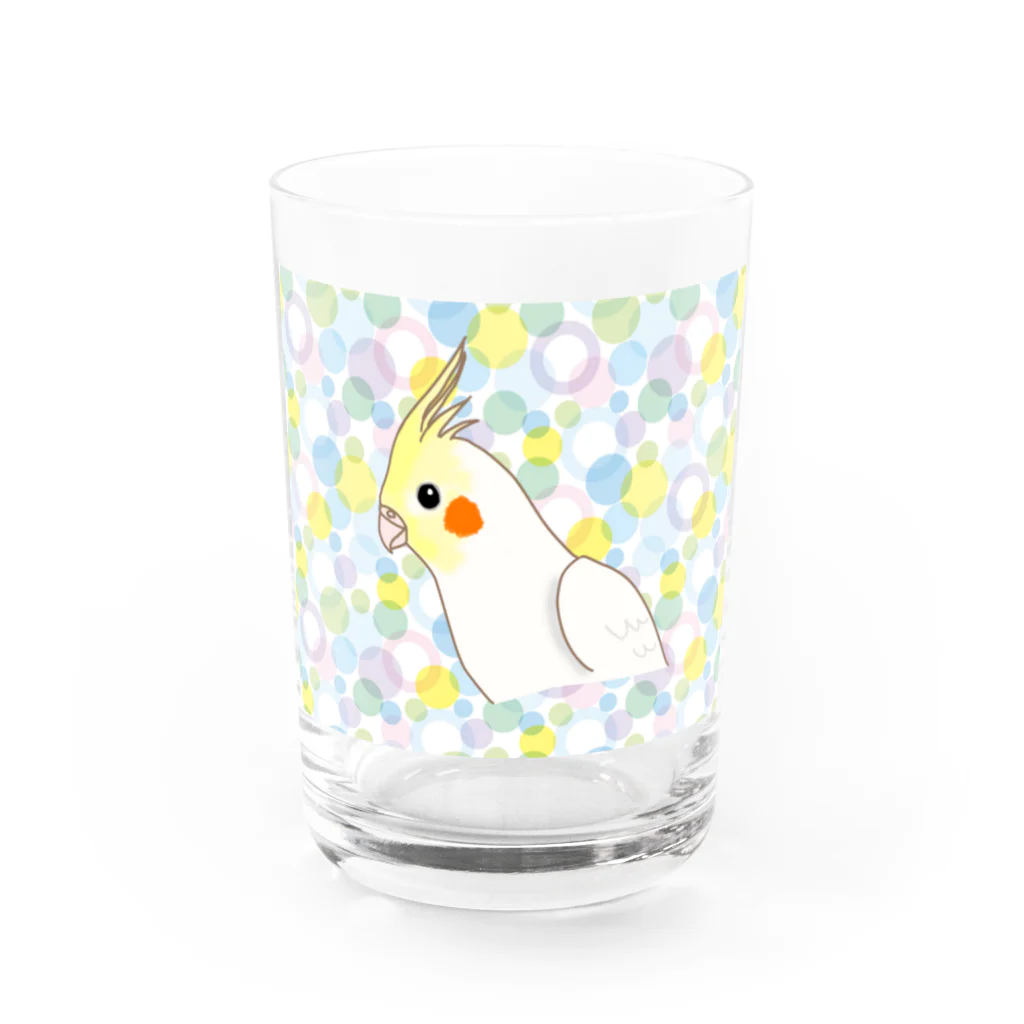 いんこちゃんショップのオカメいんこちゃん Water Glass :front