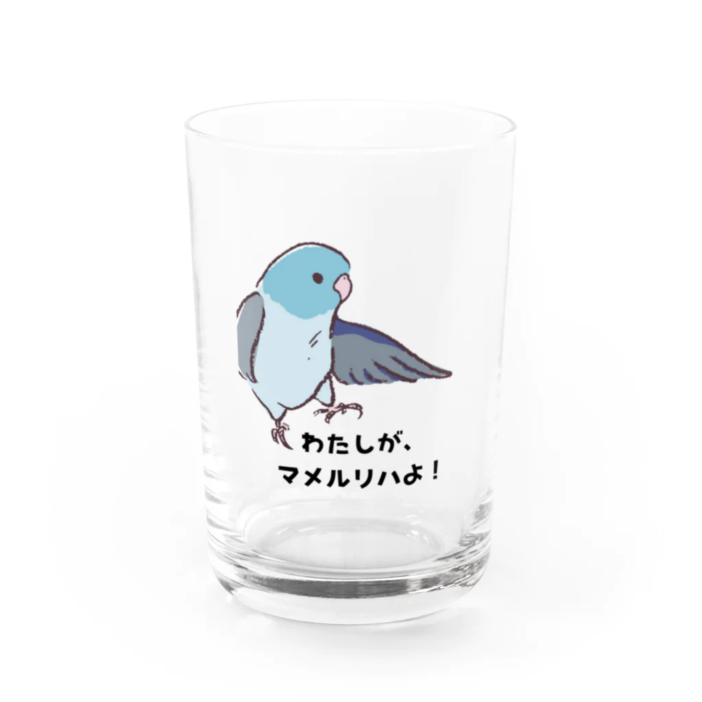 デザイン堂しまえながのマメルリハちゃん Water Glass :front