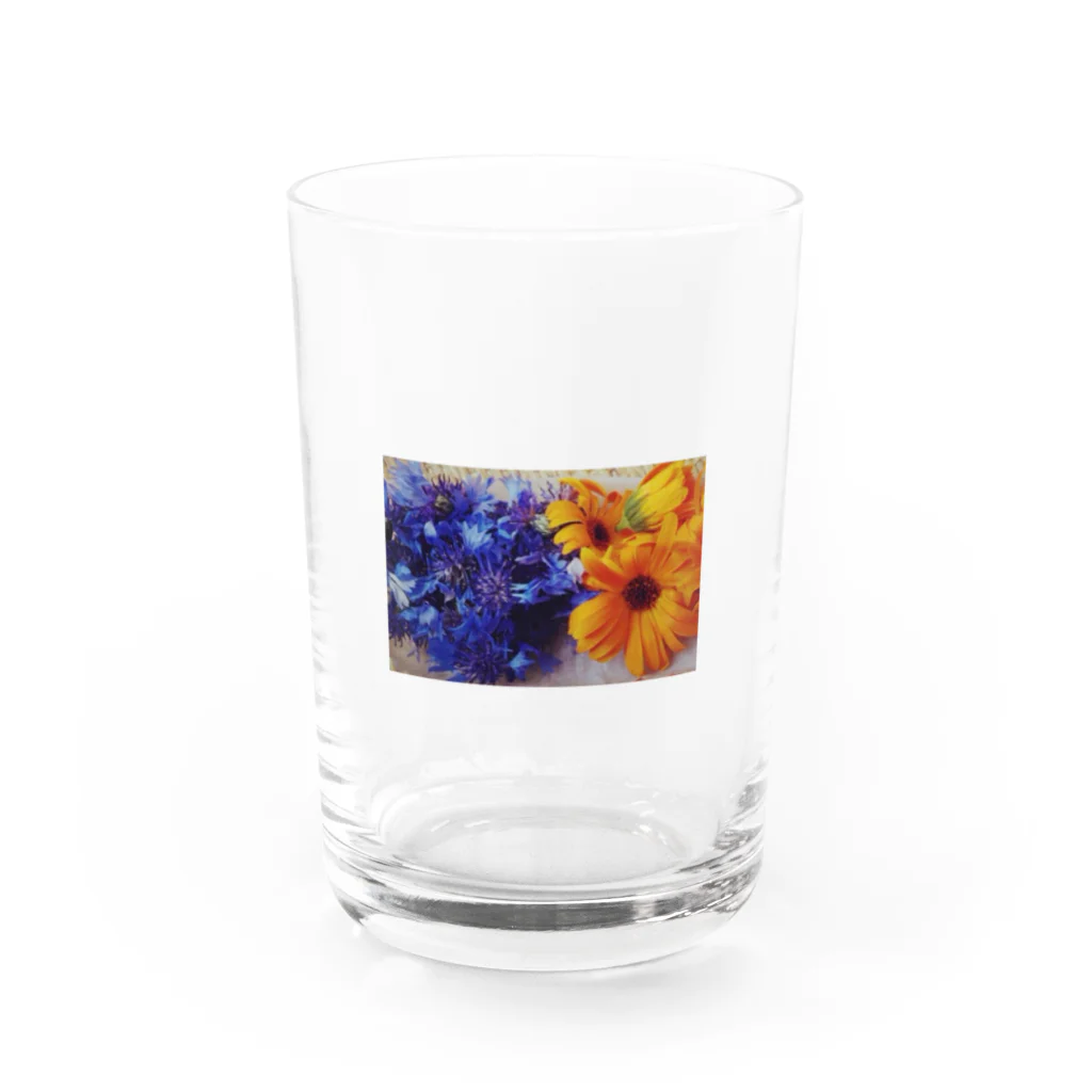 Lotusのはな Water Glass :front