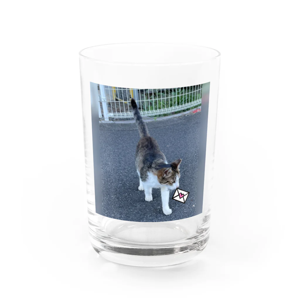 ながしっぽ from.さくらねこの家のながしっぽ　type.Ｊ Water Glass :front