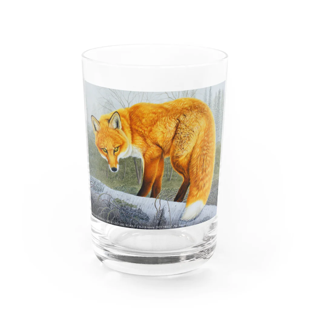 アラスカ野生動物画家きむらけいの赤狐 Water Glass :front