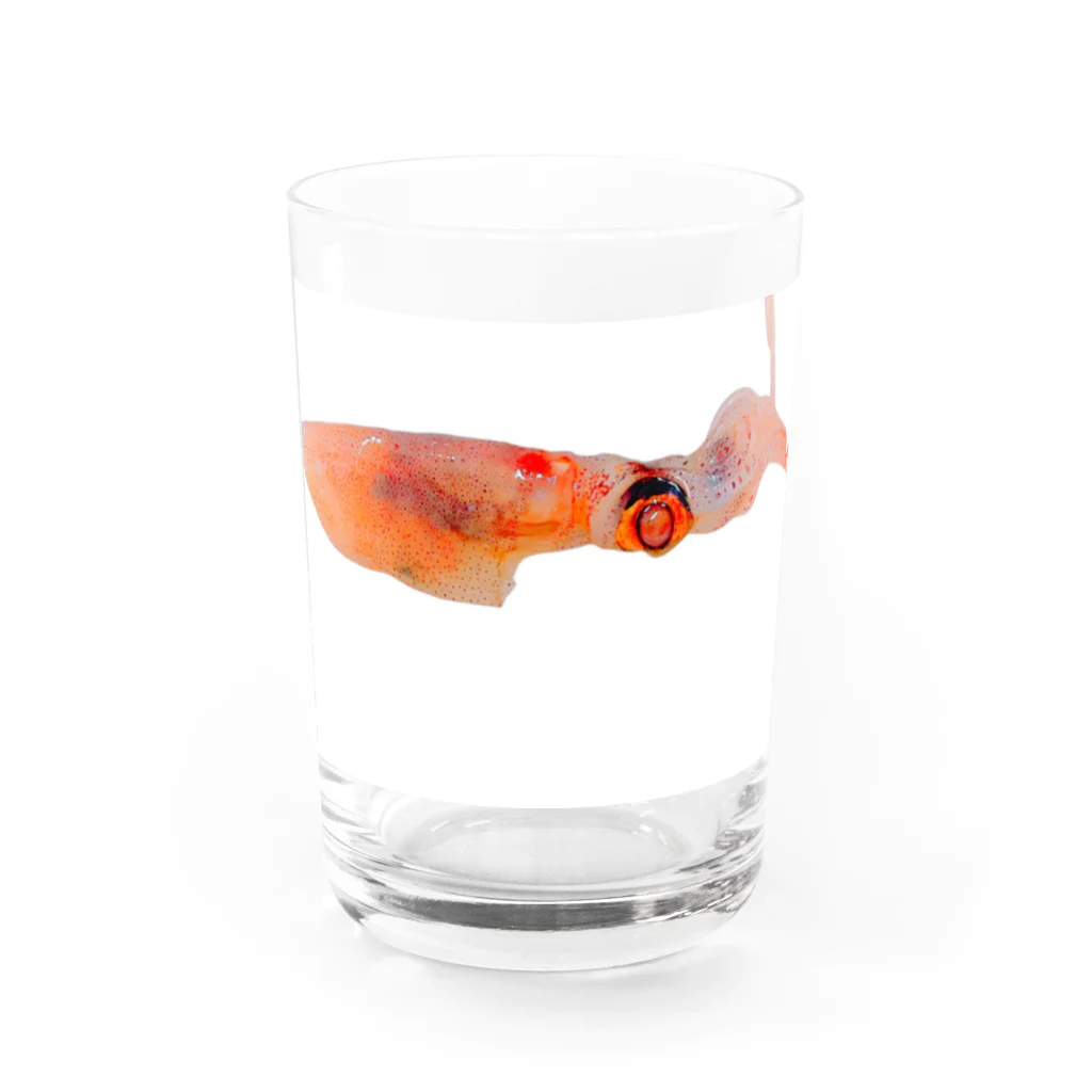 gypsy_mariaのsquid Water Glass :front