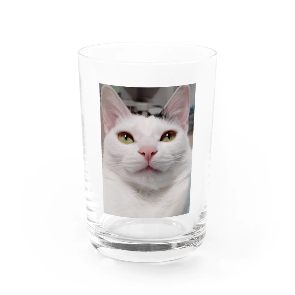 てくてくのみせのオモッチョス Water Glass :front