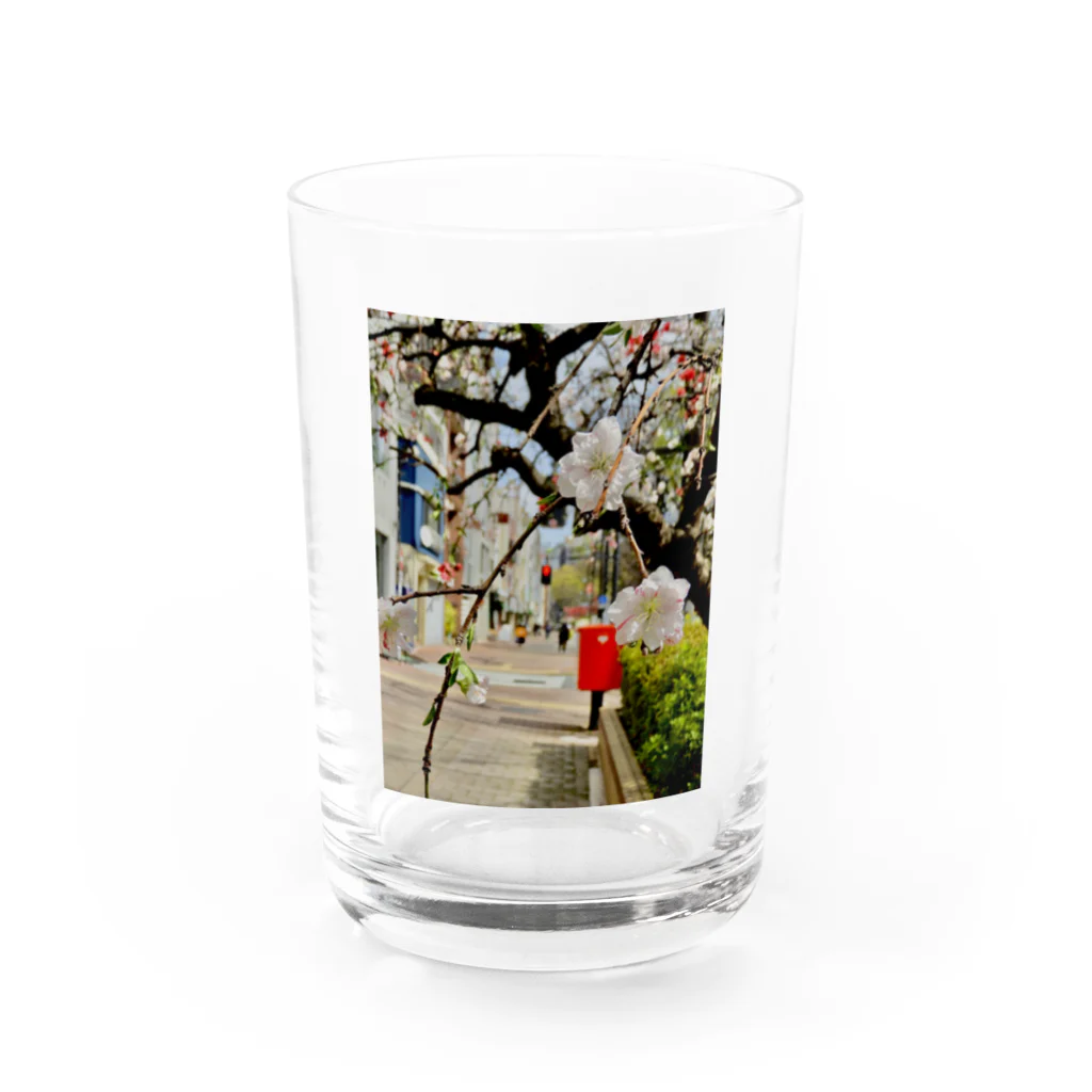 ぽたみの部屋の紅梅/ぽたみの部屋 Water Glass :front