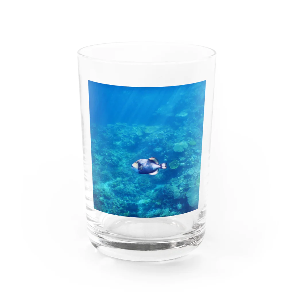 海とマッチョとKINTRAYの阿嘉島のゴマモン Water Glass :front