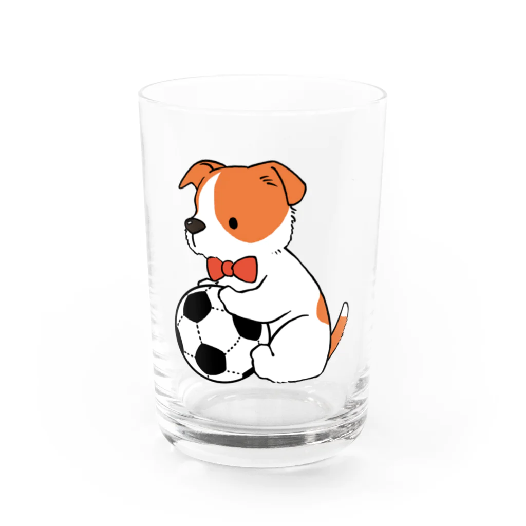 山村遥のジャックラッセルテリア　こいぬ Water Glass :front