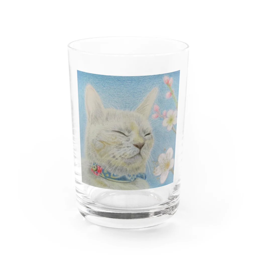 理絵のねこ ぬくぬく Water Glass :front