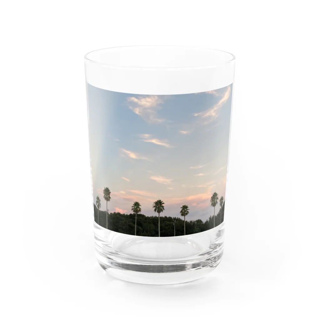 Cielの夕暮れ空とヤシの木 Water Glass :front