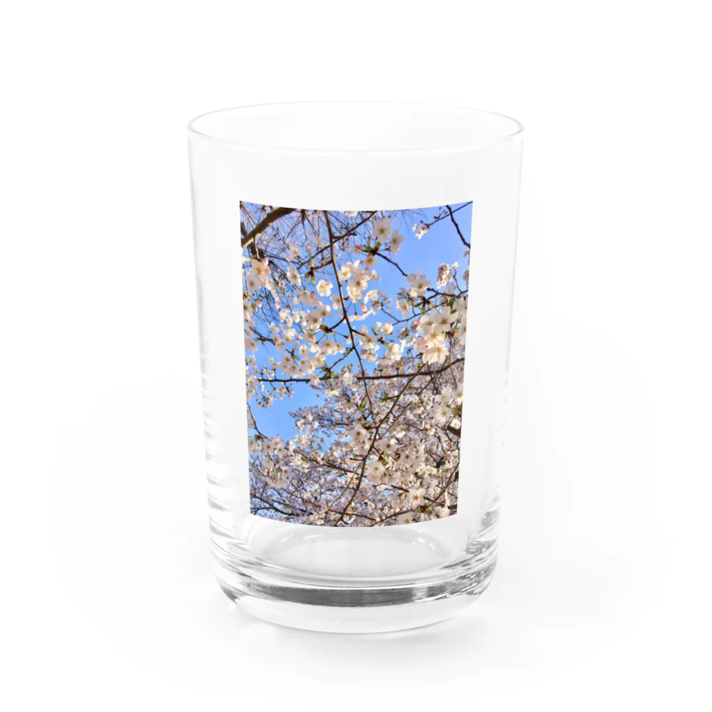 Fleurisseの桜香 Water Glass :front