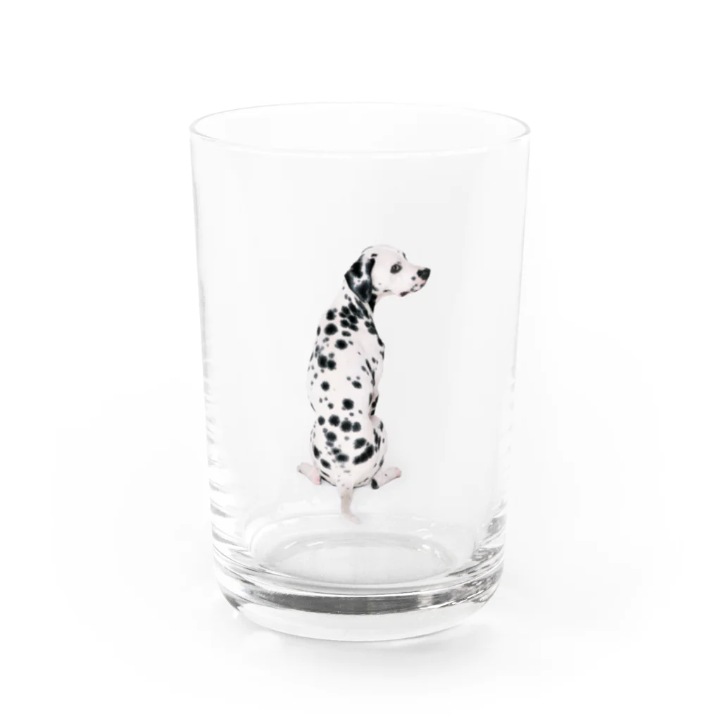 Rubbishのダルメシアン Water Glass :front