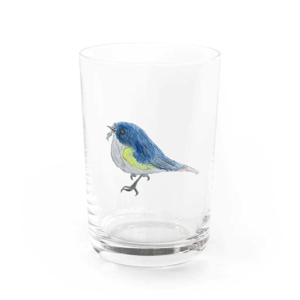 息子くんのお部屋。のとり① Water Glass :front