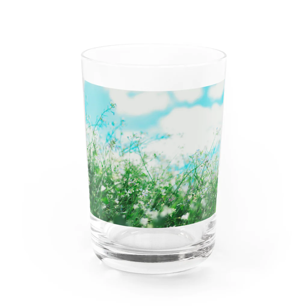 orange_honeyの花柄3 Water Glass :front