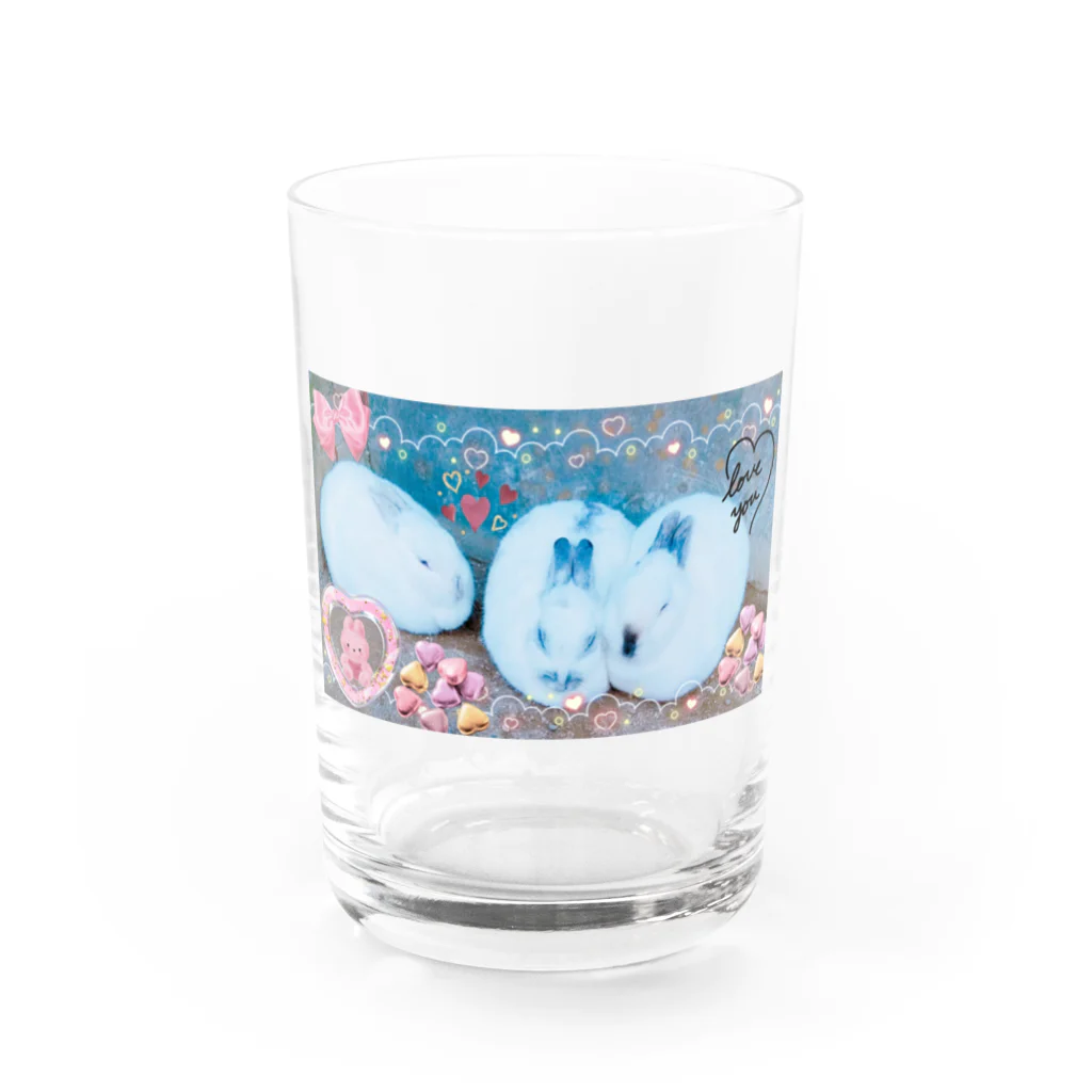 神丸のウサギ Water Glass :front