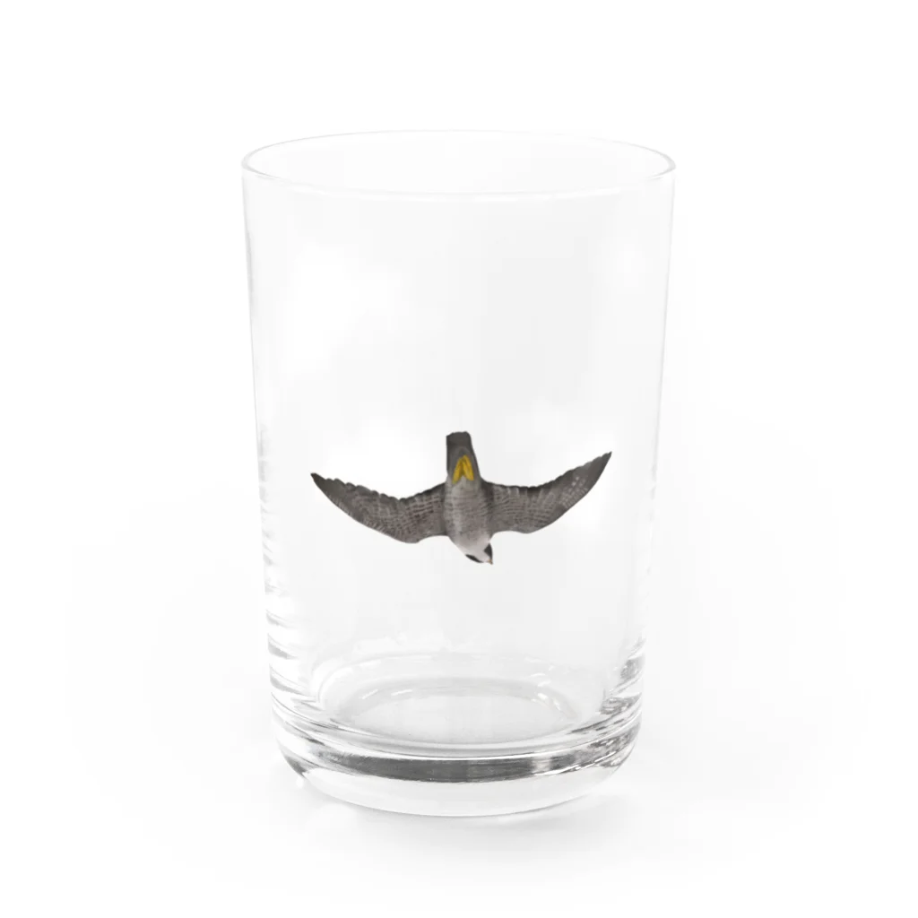 いもけんぴのハヤブサと綿雲 Water Glass :front