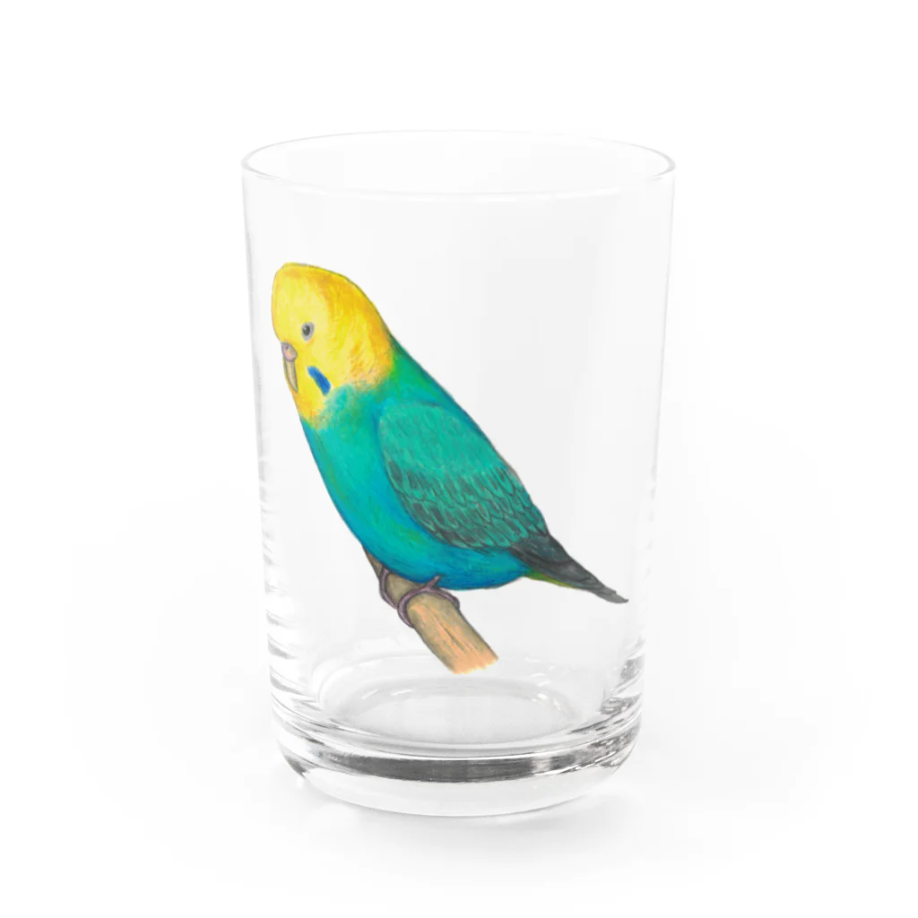 森図鑑の[森図鑑]セキセイインコレインボー Water Glass :front