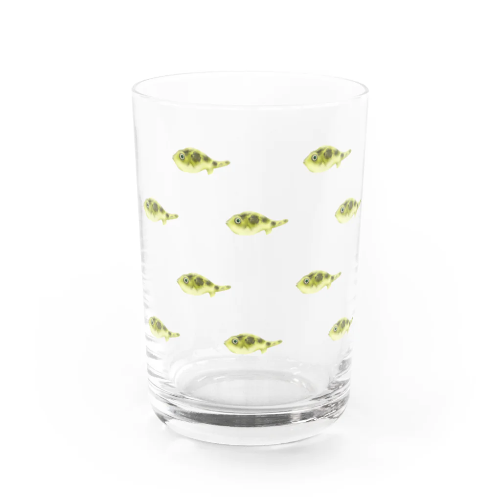 uovo  ウーヴォのアベニーパファー軍団 Water Glass :front