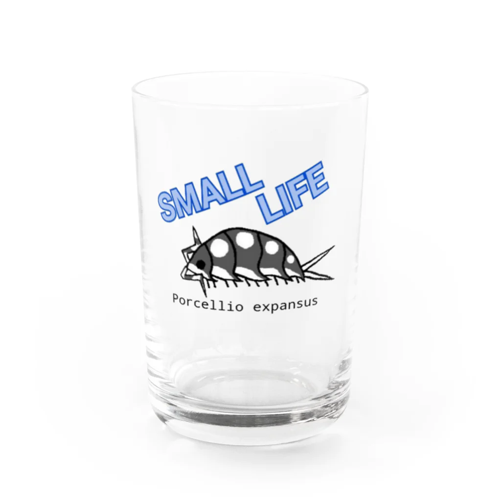 SMALL LIFEのエキスパンサス Water Glass :front