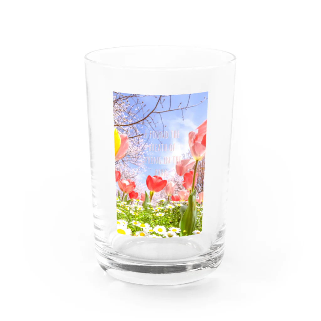 蛍石のI found the breath of spring in the park. Water Glass :front