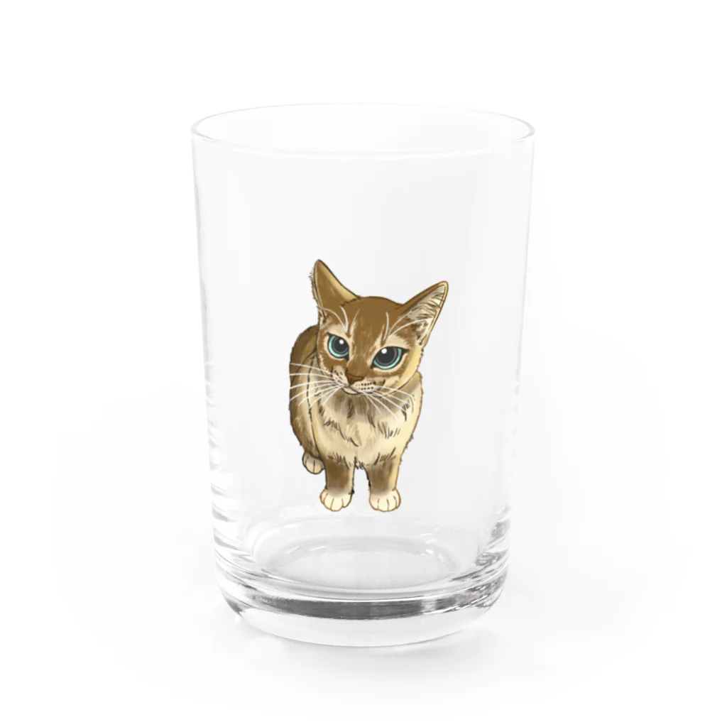 縁-yukari-のアビシニアン Water Glass :front