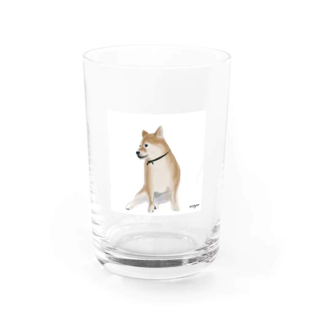 maaaaayaの柴犬 Water Glass :front