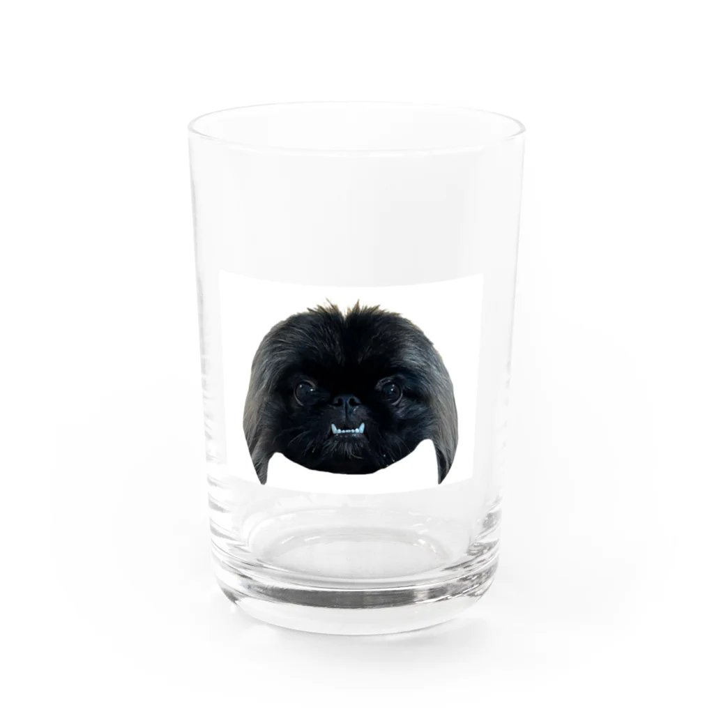 ぺきにーず姉妹のペキニーズ Water Glass :front