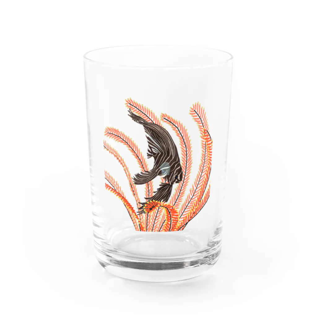 棘のゼブラバットフィッシュとウミシダ Water Glass :front