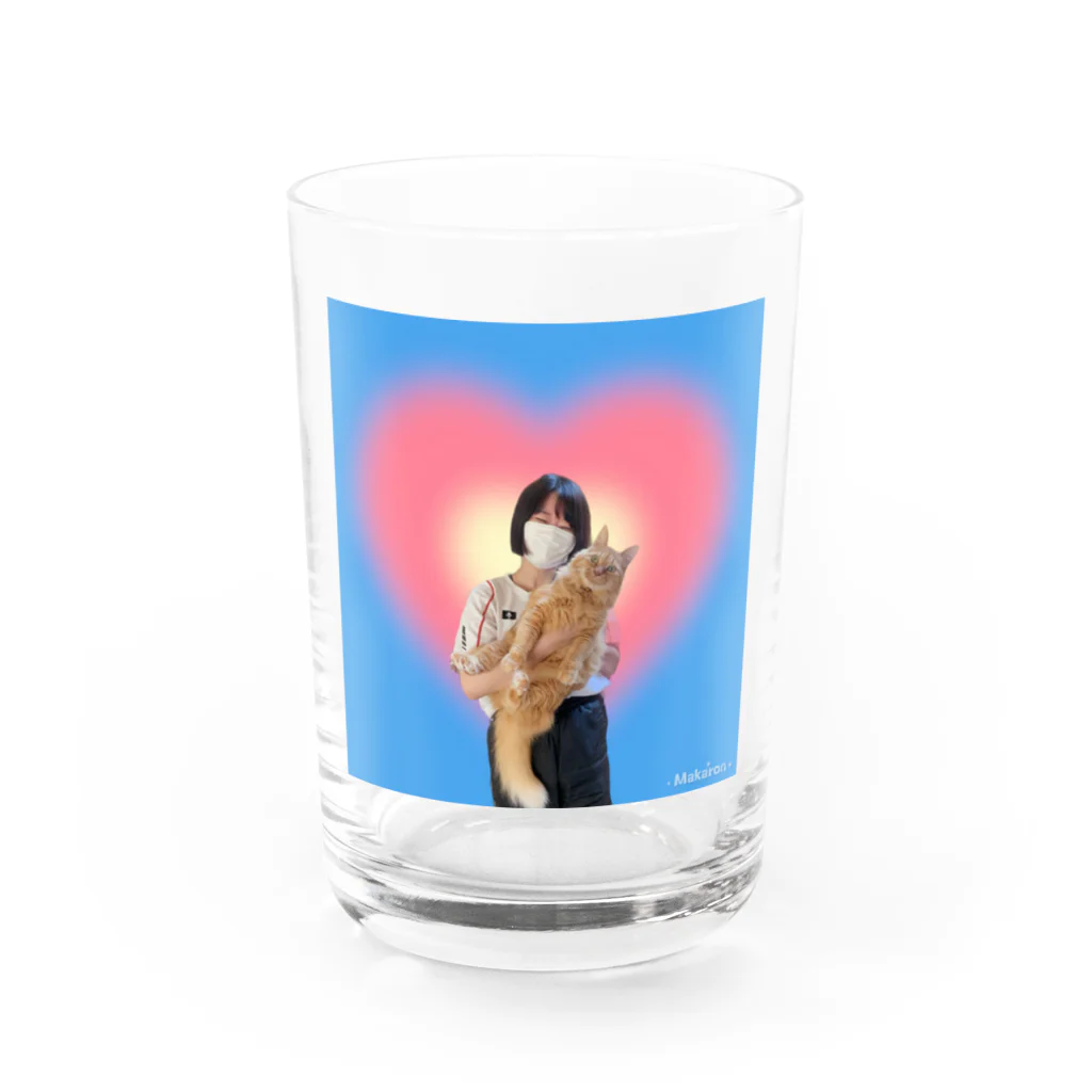 🍲🥓の祖父母んちのネコ Water Glass :front