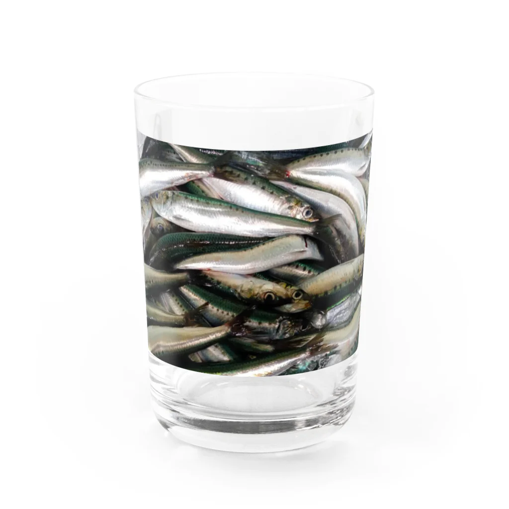かわいい鰤たちのイワシの香り漂うグラス Water Glass :front