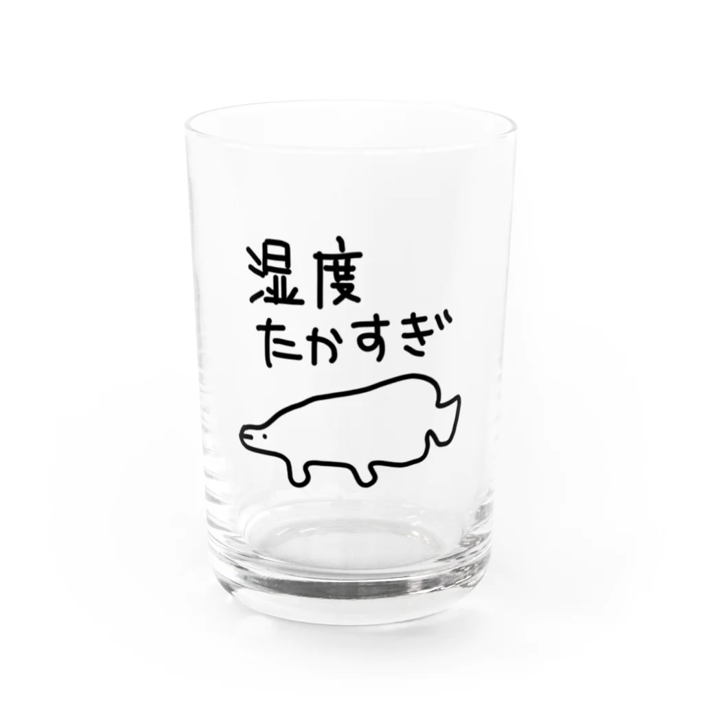 ミナミコアリクイ【のの】の湿度が高すぎる【ピラルク】 Water Glass :front